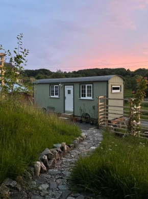 Ardmore Shepherd's Hut